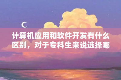 計算機軟件開發與應用 ?？粕穆殬I選擇與發展前景分析