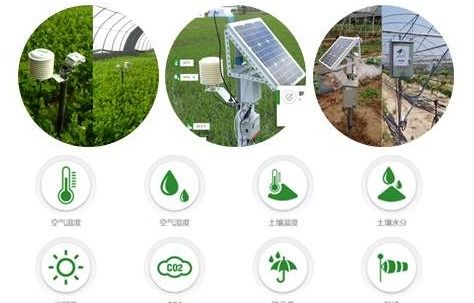 農產品溯源管理系統軟件開發設計解決方案